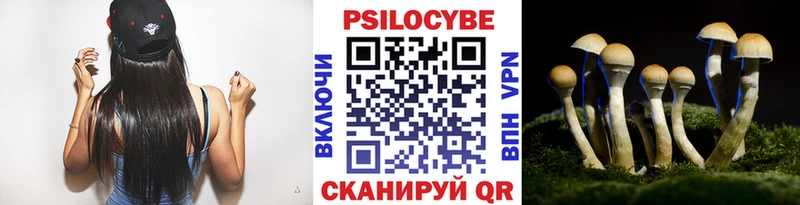 Псилоцибиновые грибы MAGIC MUSHROOMS  Михайлов 